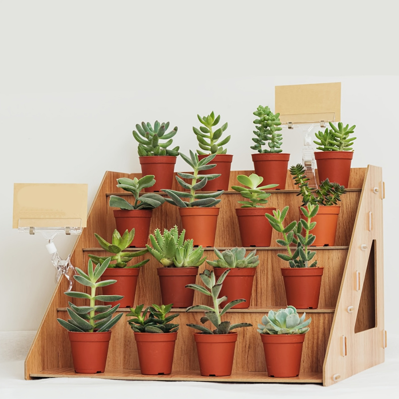 Pop Display Shelf - Rak pajangan kayu, stan untuk pameran