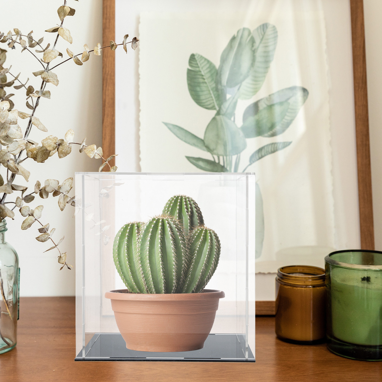 Kotak Penyimpanan Akrilik Tran - Display Case Acrylic ulasan dan harga